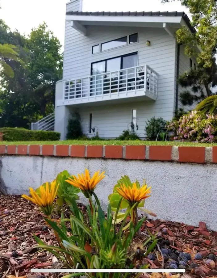 Large Luxury Studio With View In Santa Monica